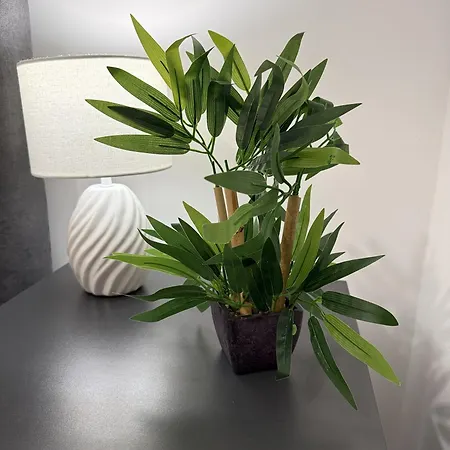 Via Lux Apartman Pécs